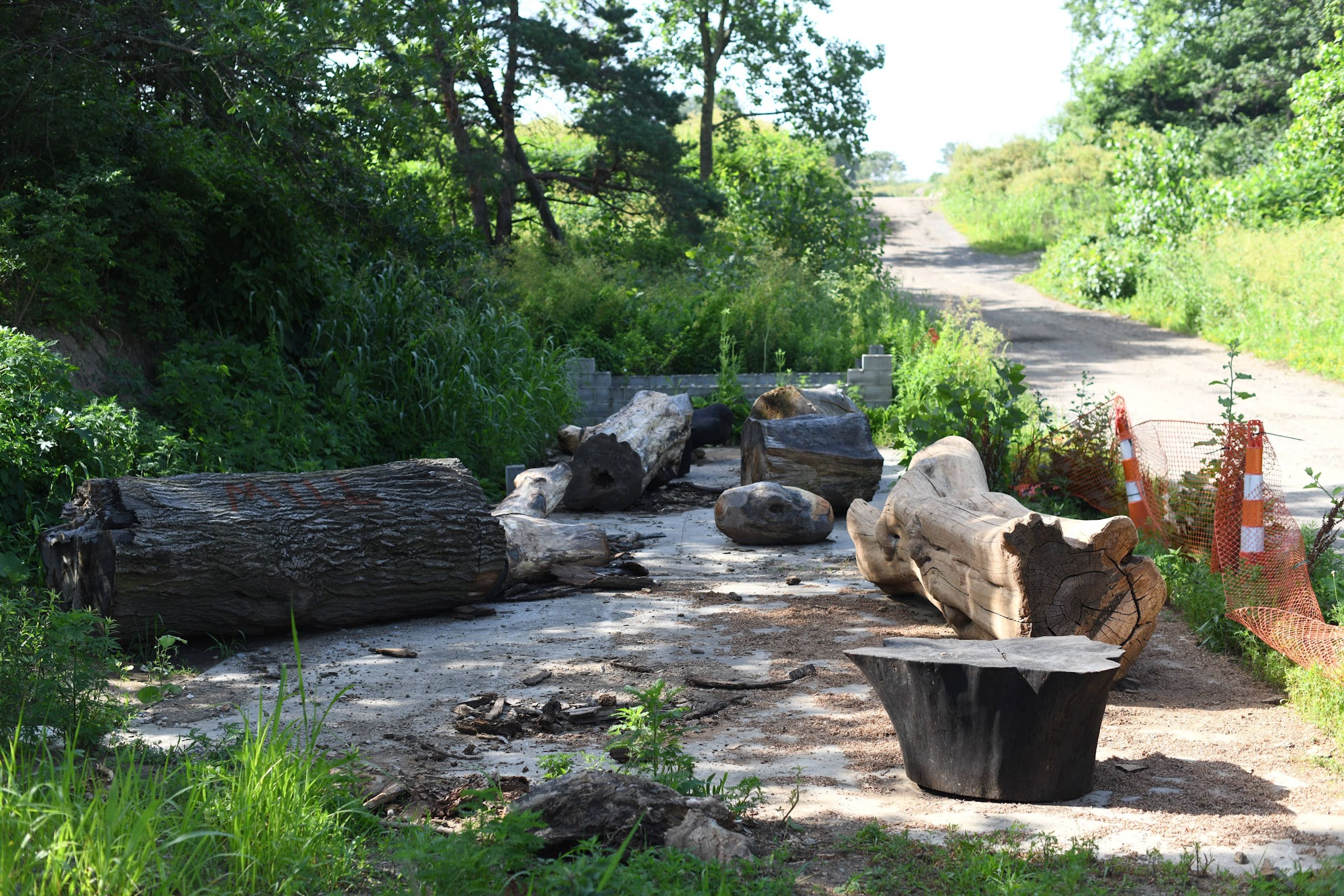 Charred Wood Objects project image 1