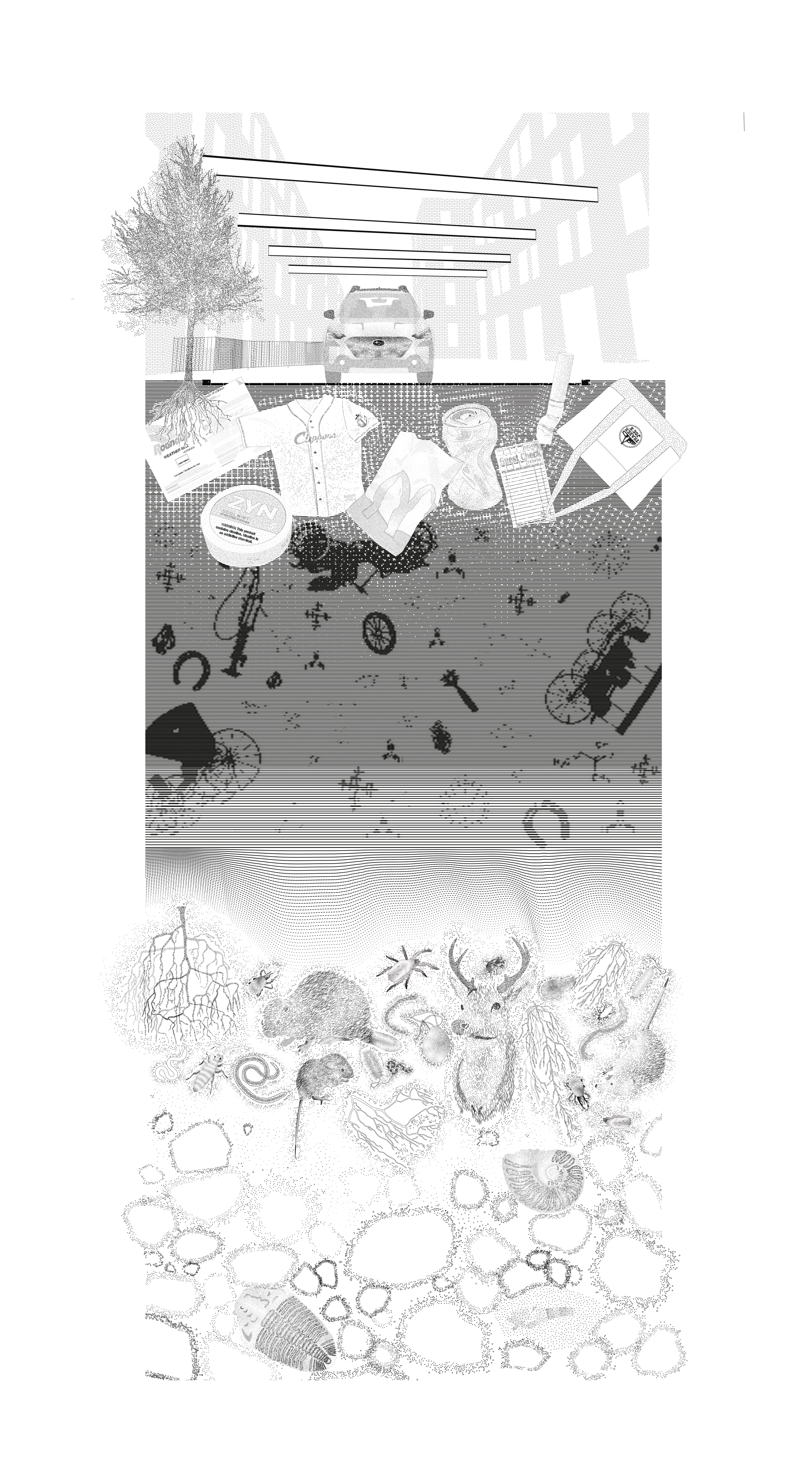 conceptualizing an anthrosol project image 1