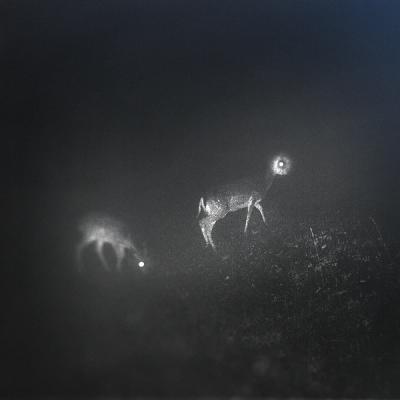 Bliss Signal - Bliss Signal (Vinyl)