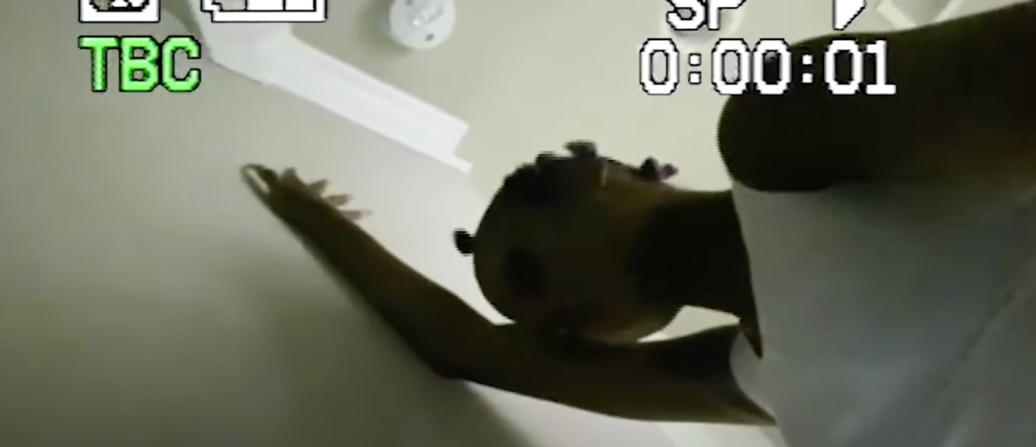 Westwood (Visualizer)