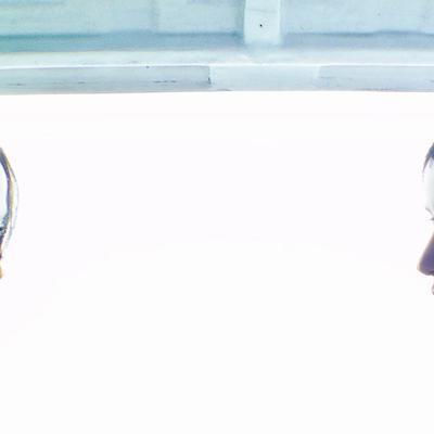 viscus ft. FKA twigs