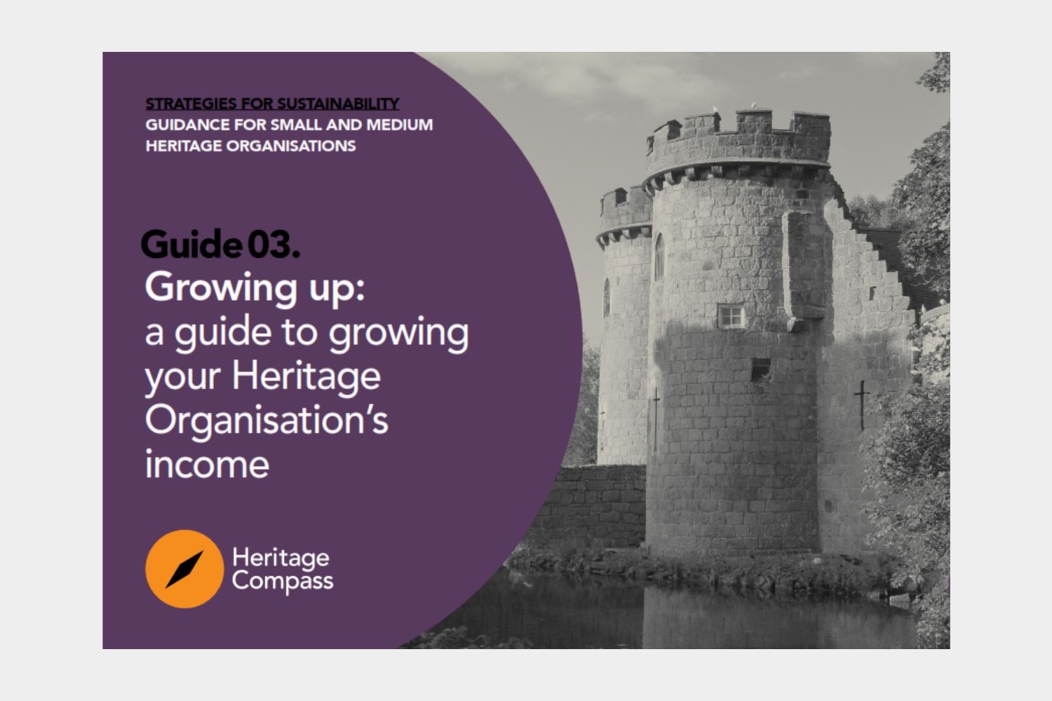 Image for Growing up: a guide to growing your Heritage Organisation's income