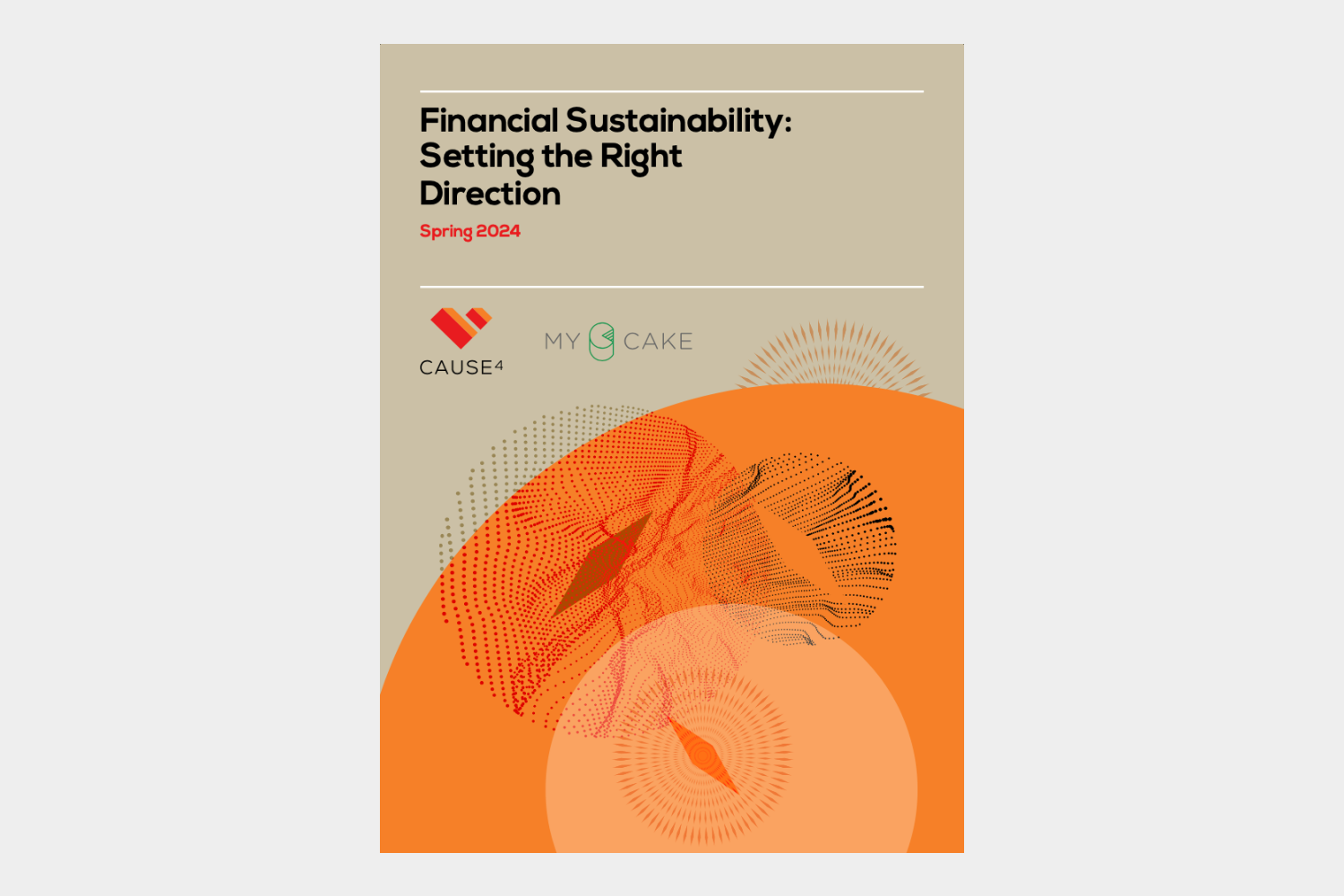 Image for Financial Sustainability: Setting the Right Direction