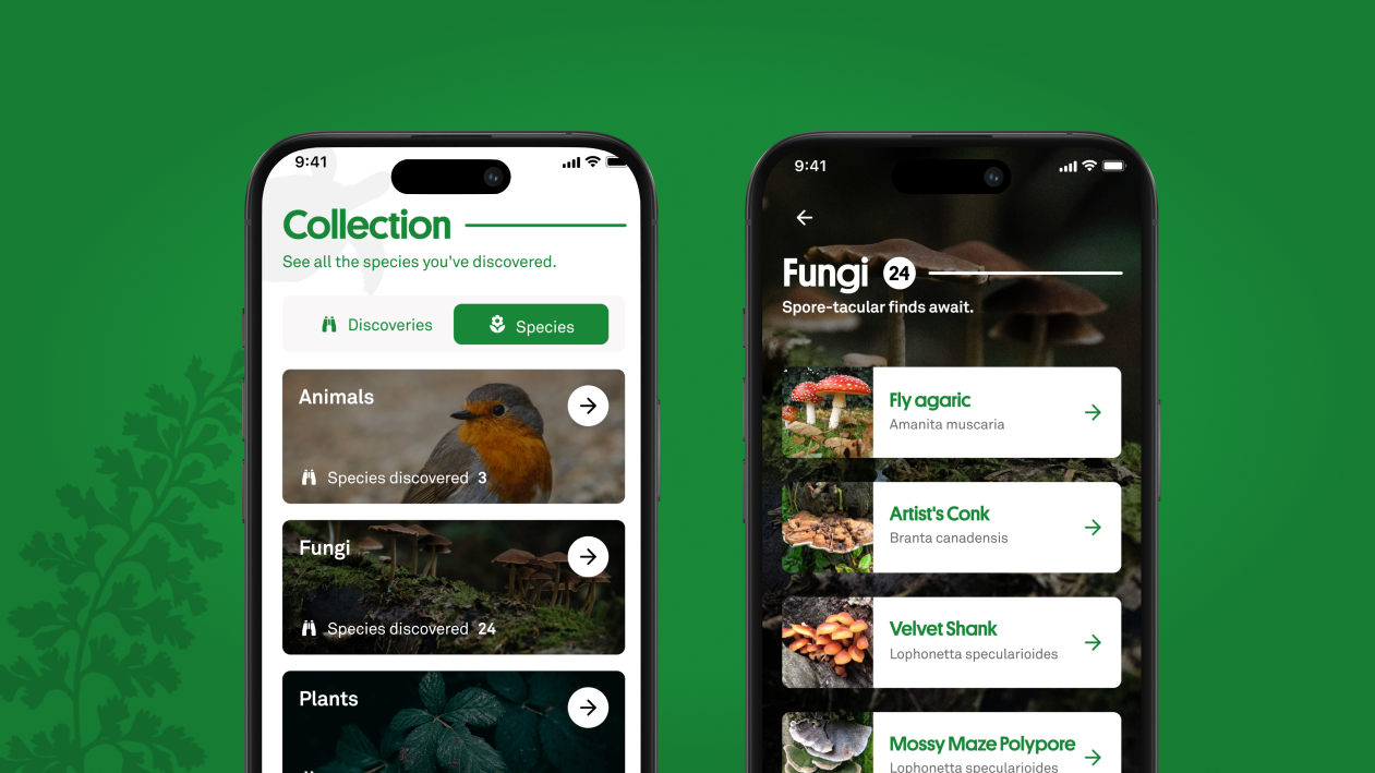 Twee smartphone-schermen tonen de collectiepagina’s van de NaturalisID-app, met overzicht van ontdekte dieren, planten en paddenstoelen, en een lijst met herkende paddenstoelen zoals de vliegenzwam.