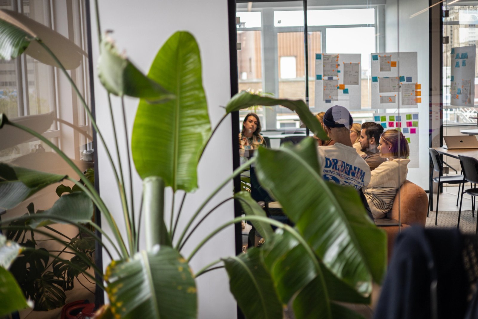 Plant met op de achtergrond mensen in gesprek.