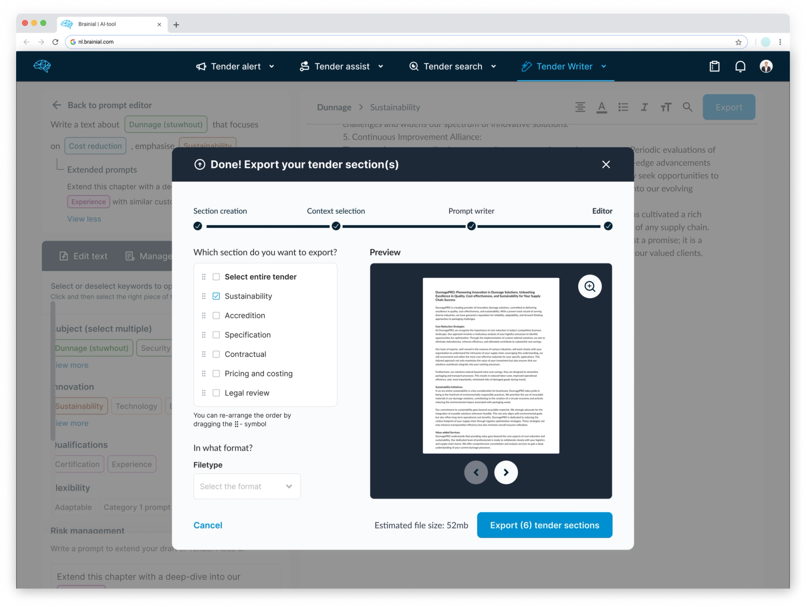 Interface with the Brainial AI export modal 