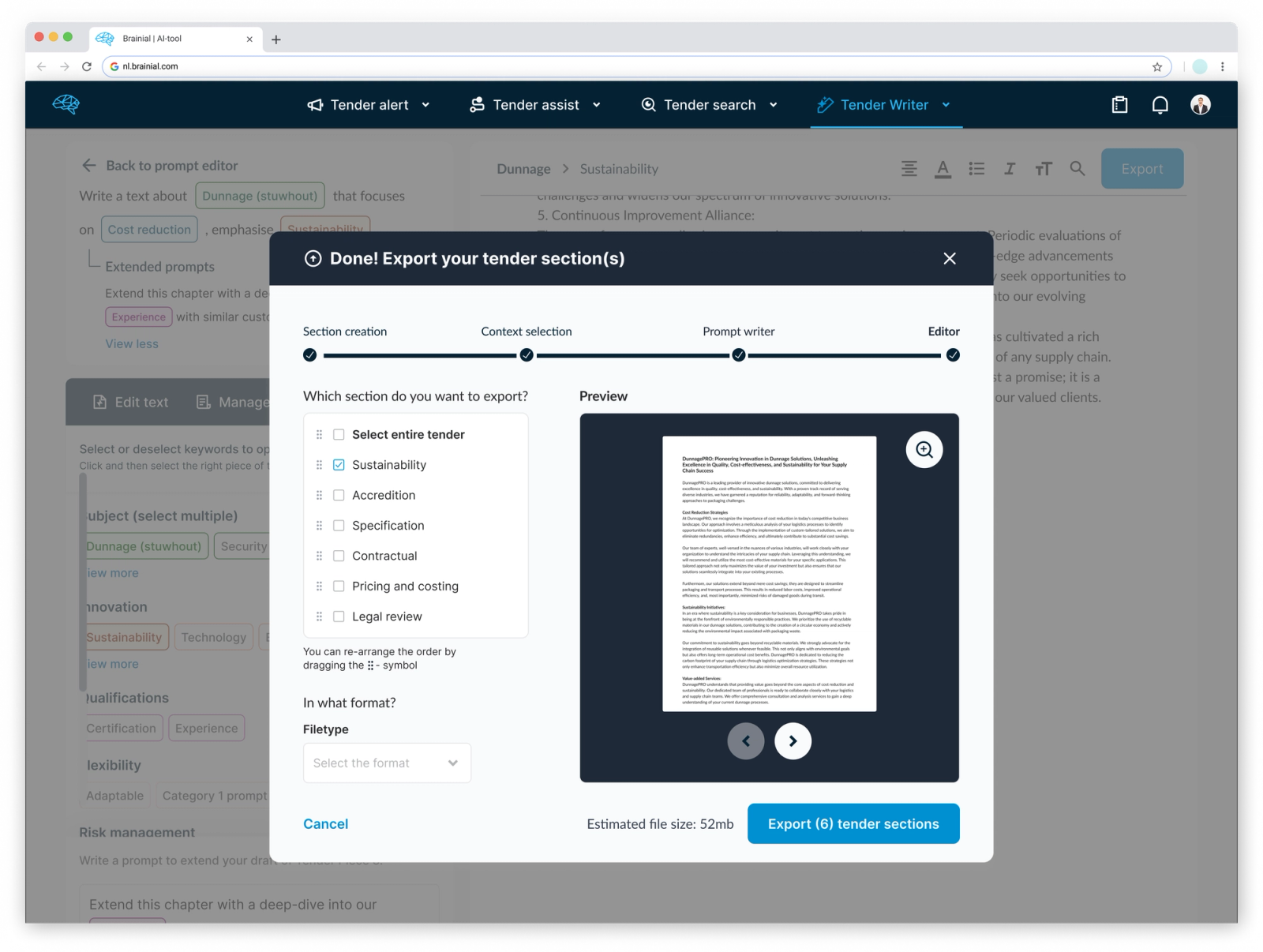 Interface with the Brainial AI export modal