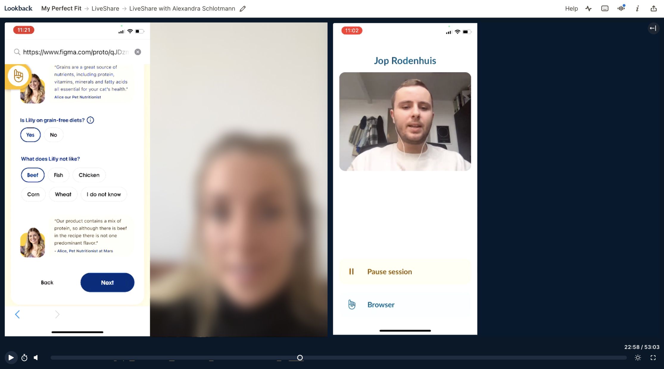 Online usability testing.
