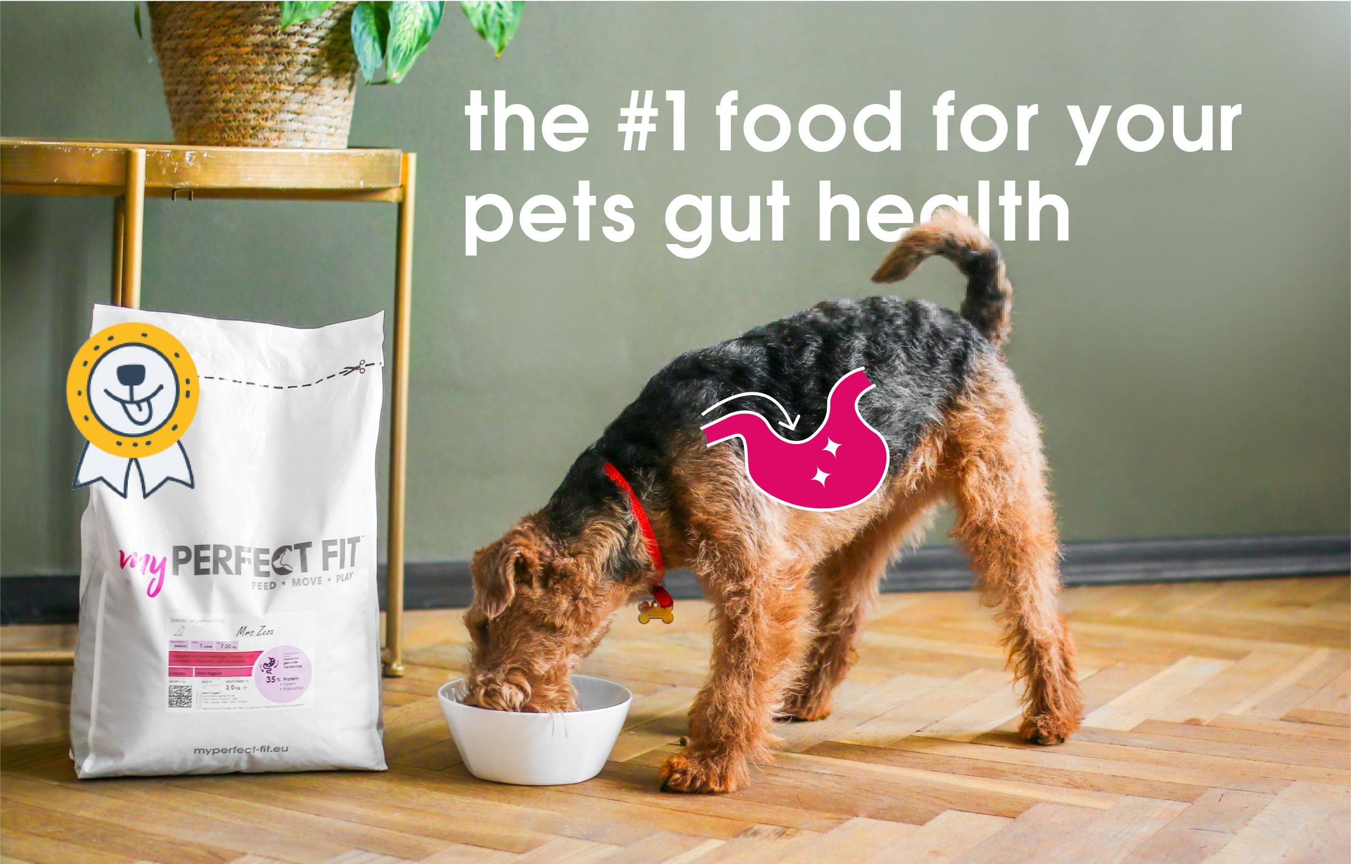 Hond aan het eten van een voederbak met daarnaast een zak met hondenvoer van my perfect fit