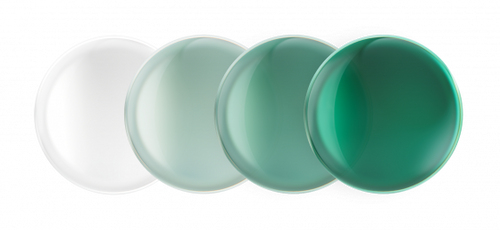 Lentes marcaTransitions color esmeralda