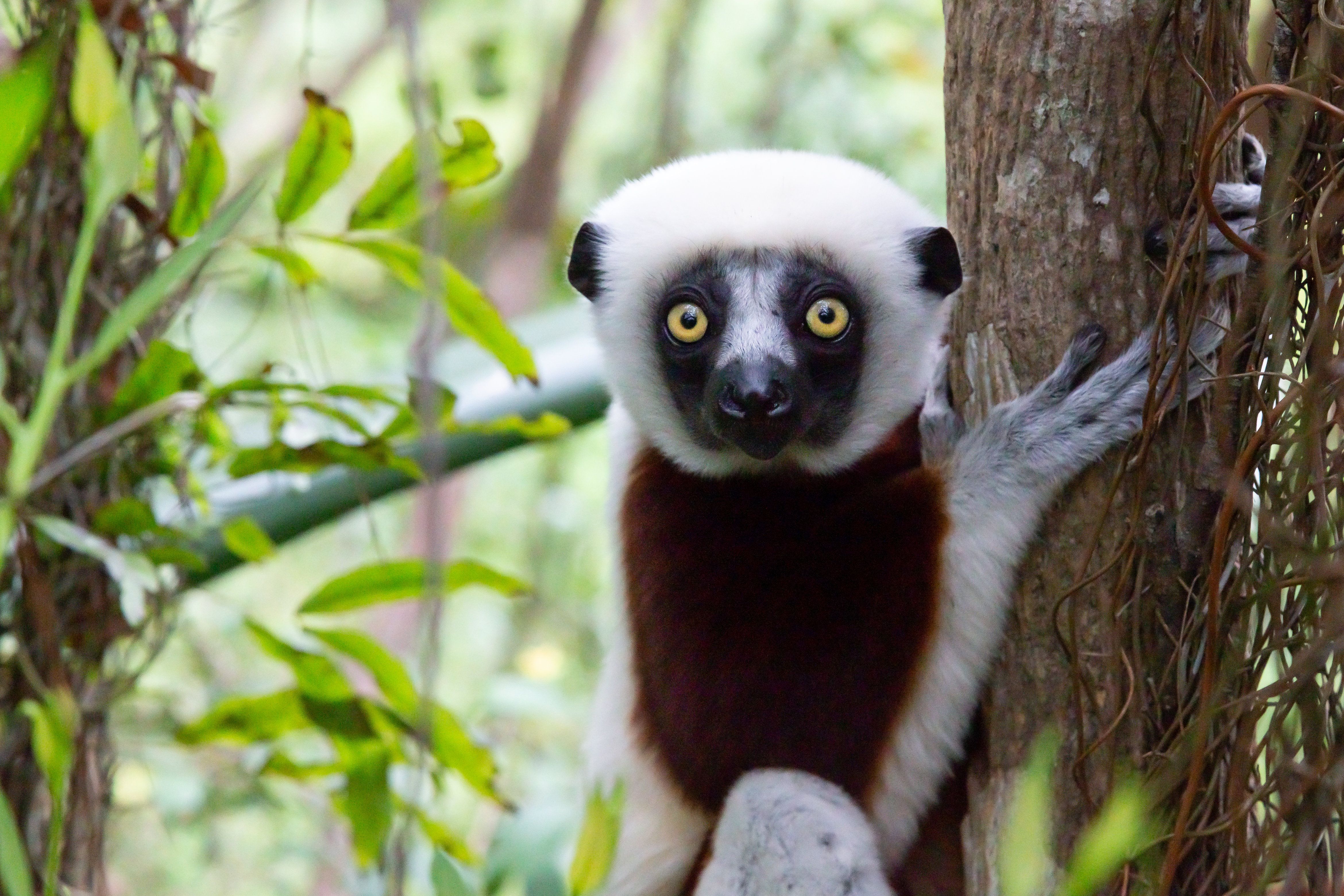 Madagaskar Reise