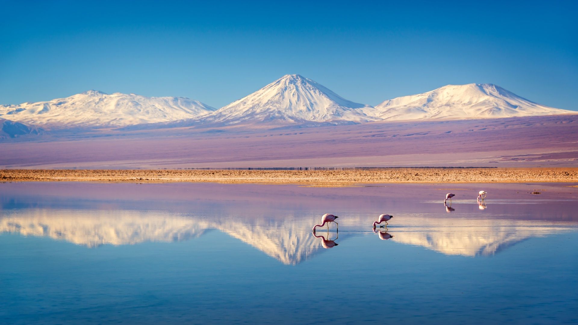 Patagonien Reise