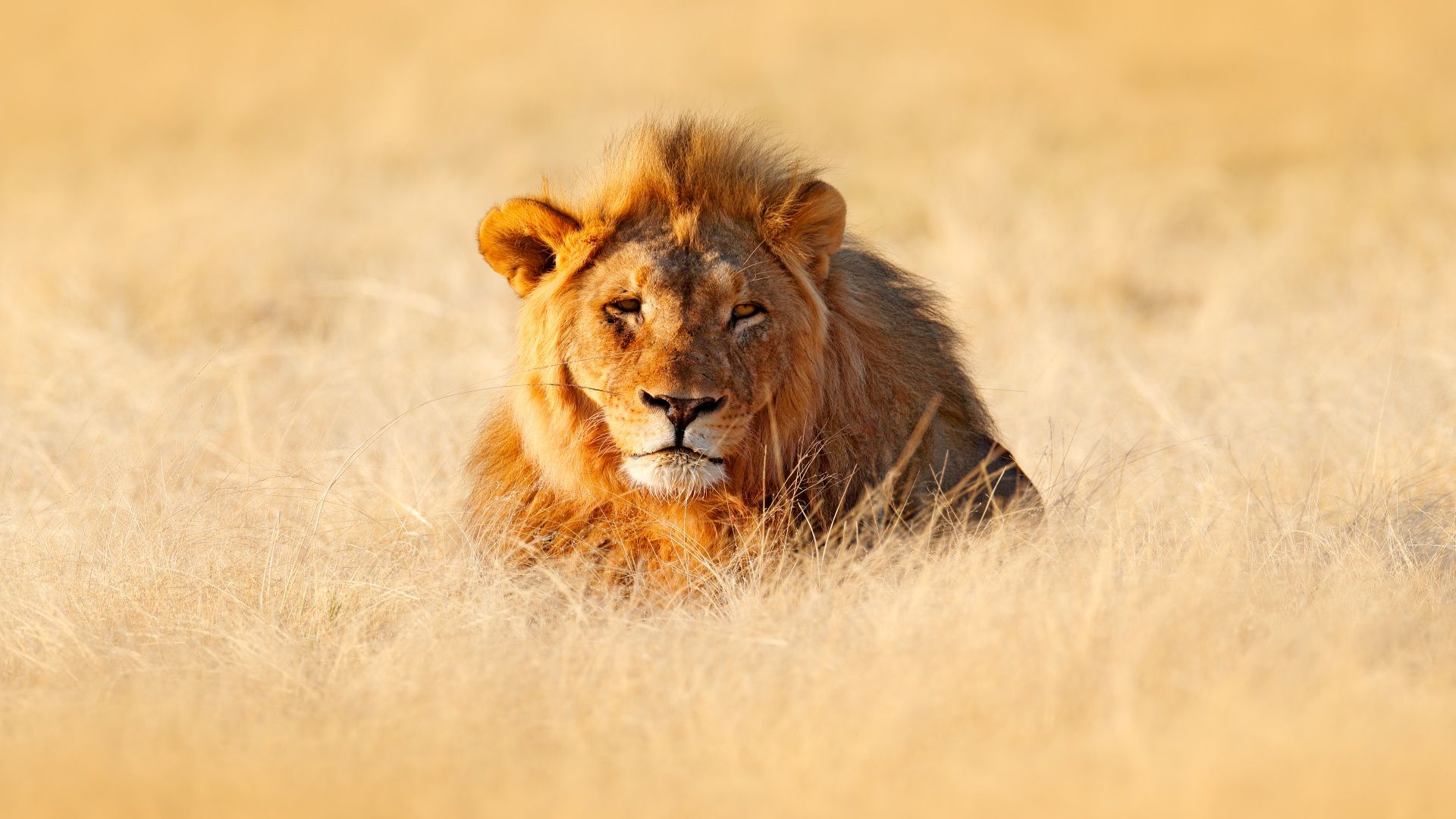 Namibia Reise