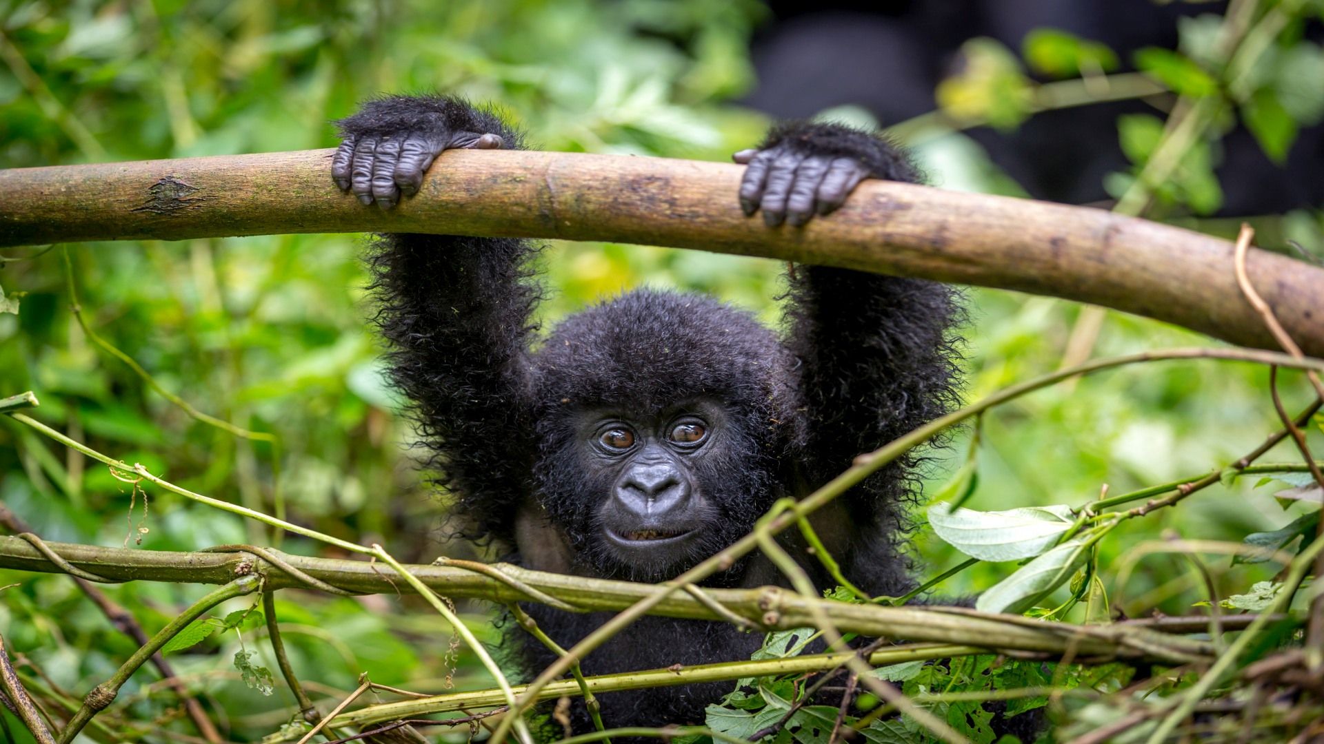Uganda Reise