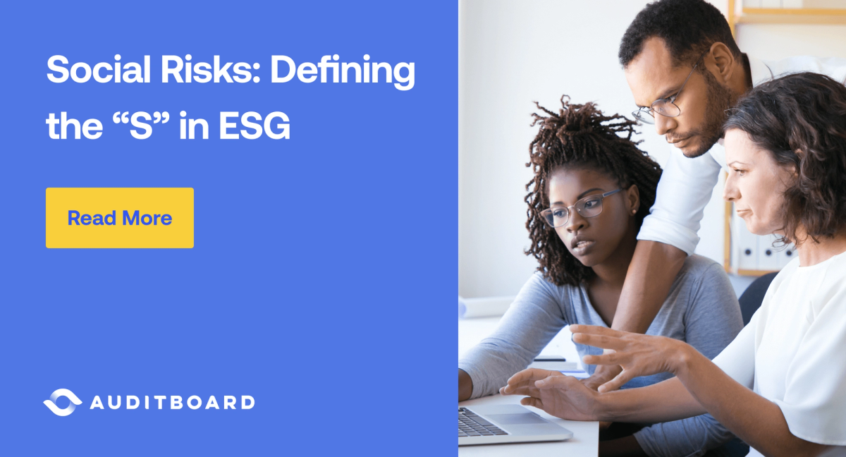 ESG Social Risks Overview