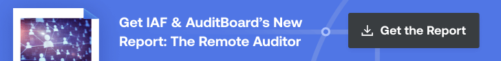 The Remote Auditor Report