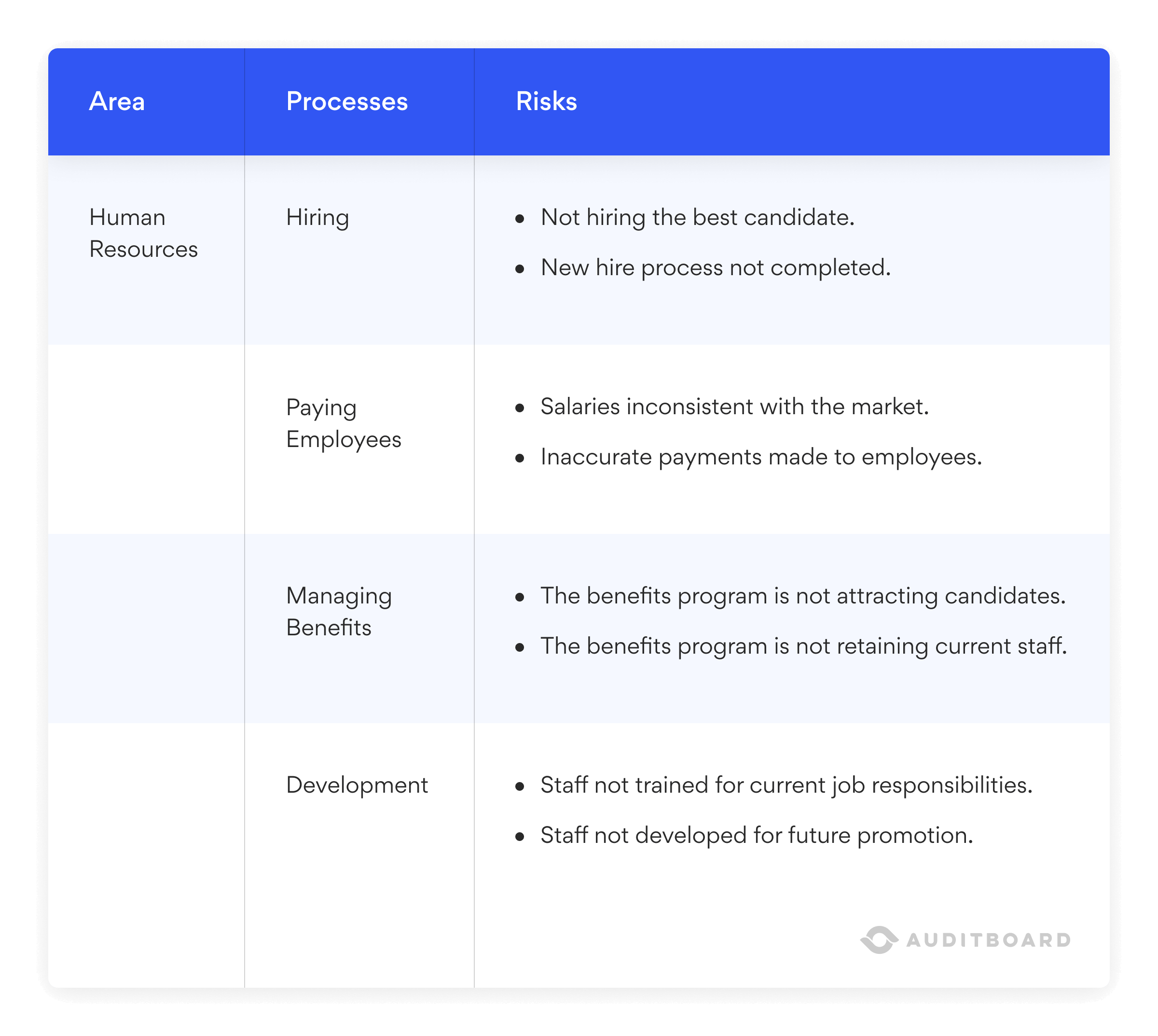 A graph displaying a human resource audit plan with area, processes, and risks as the top 3 main columns.