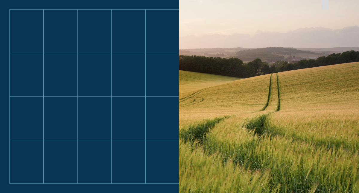 Risk management tools vs. spreadsheets: Top 5 winners