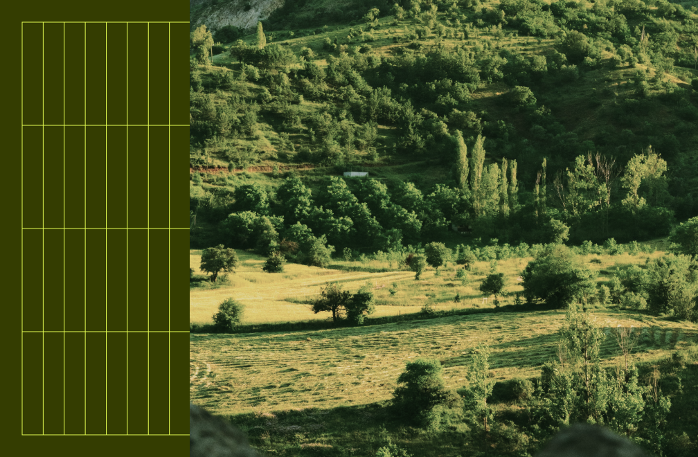 field and forest