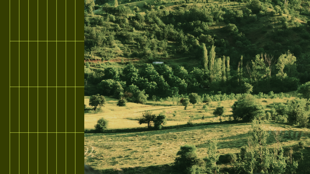 field and forest