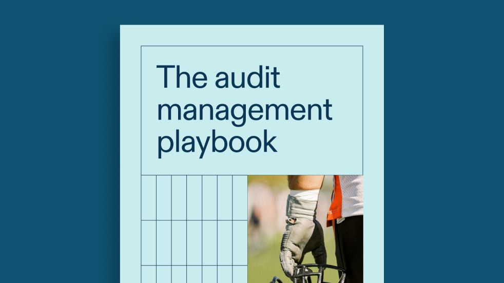 The Audit Management Playbook 