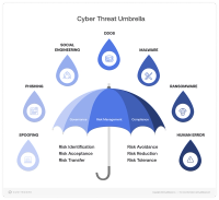 IT Risk Management: Definition, Types, Process, Frameworks