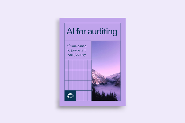 AI for auditing: 12 use cases to jumpstart your journey