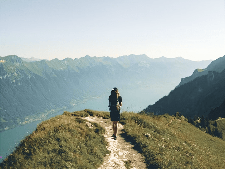 A View from the Audit Trail