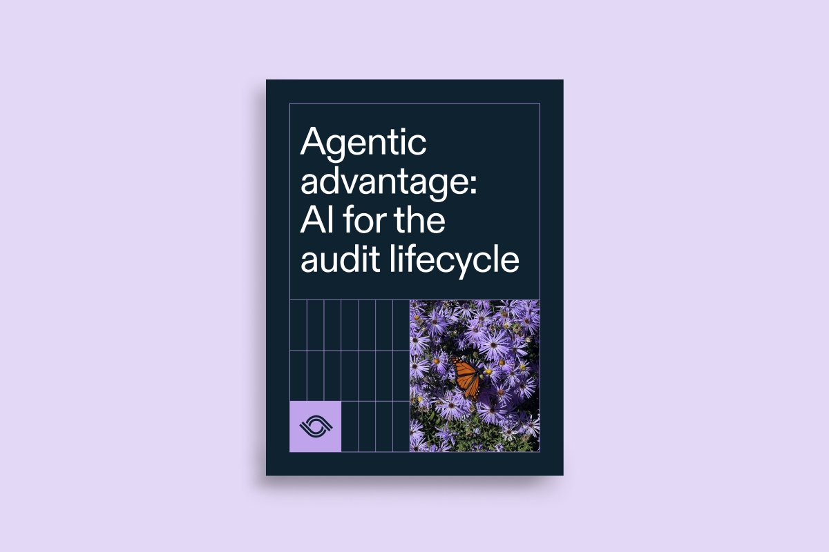 Agentic advantage: AI for the audit lifecycle