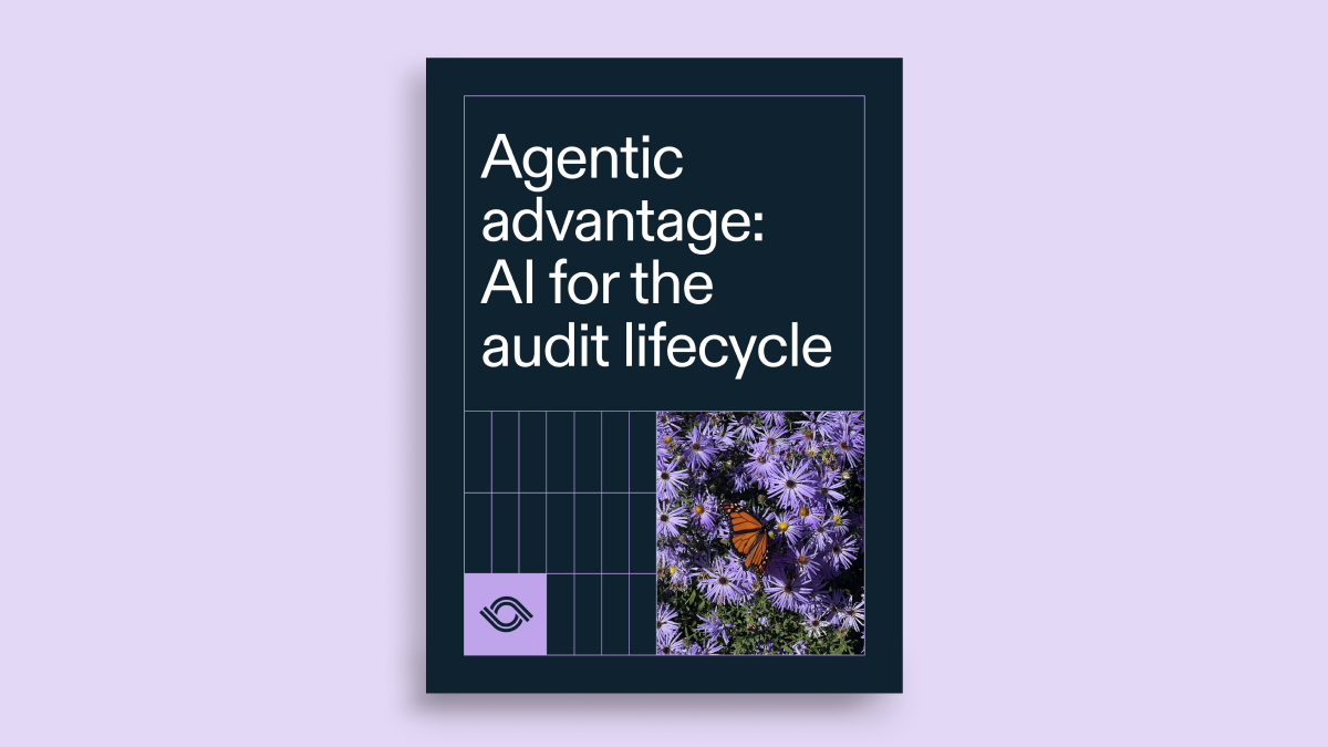 Agentic advantage: AI for the audit lifecycle