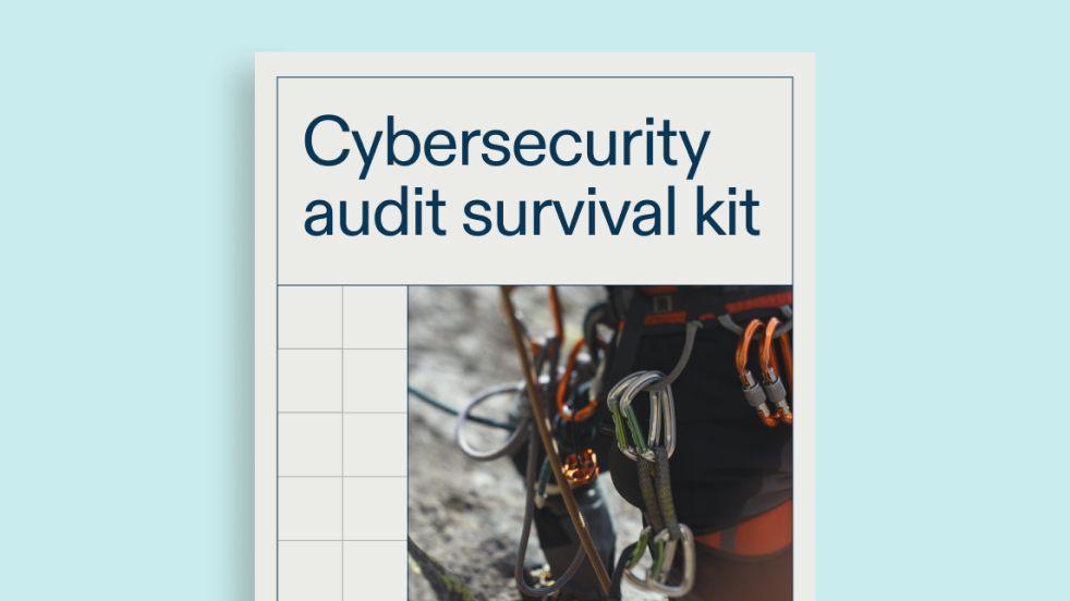 Cybersecurity Audit Survival Kit