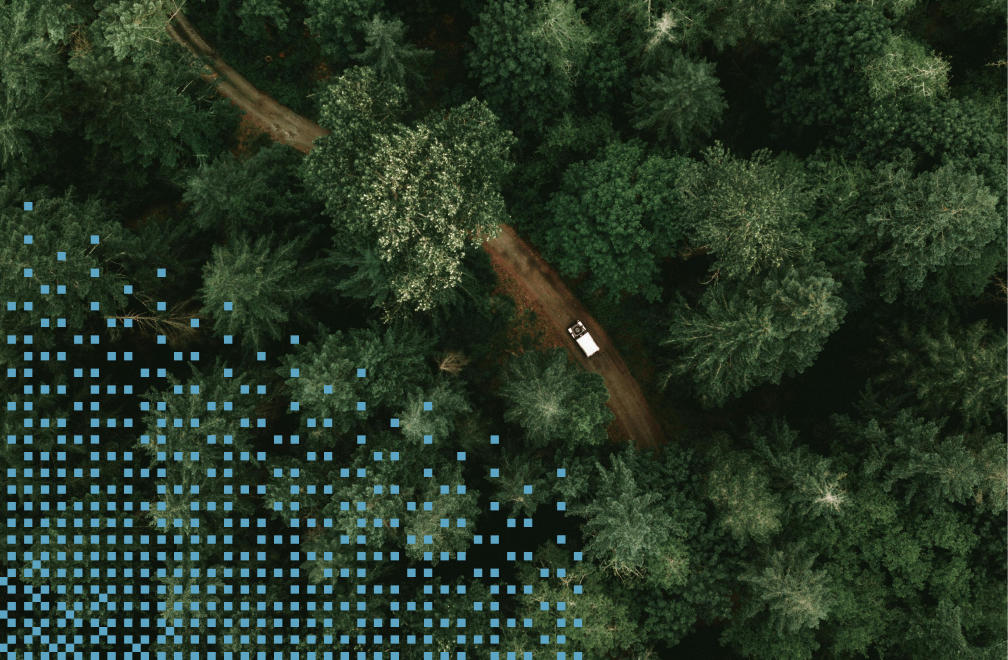 truck driving through forest