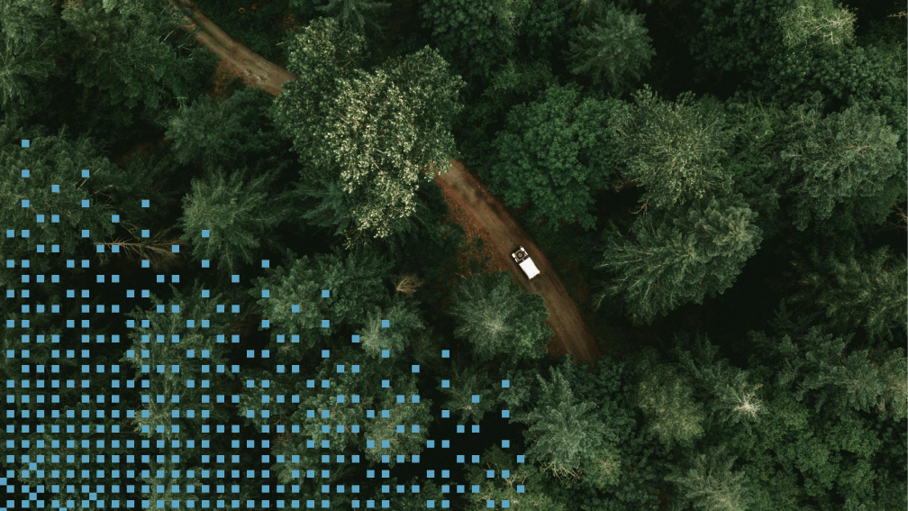 truck driving through forest