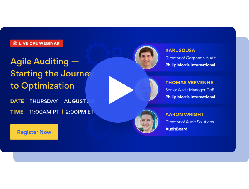 Agile Auditing - Starting the Journey to Optimization