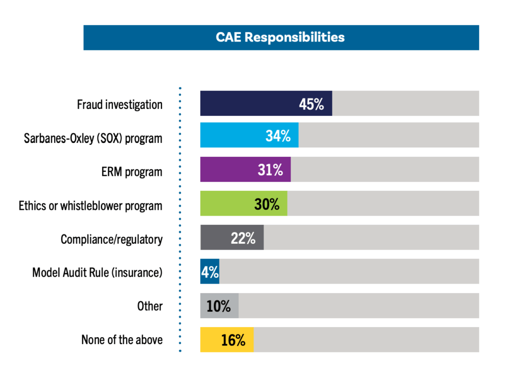CAE Responsibilities Chart