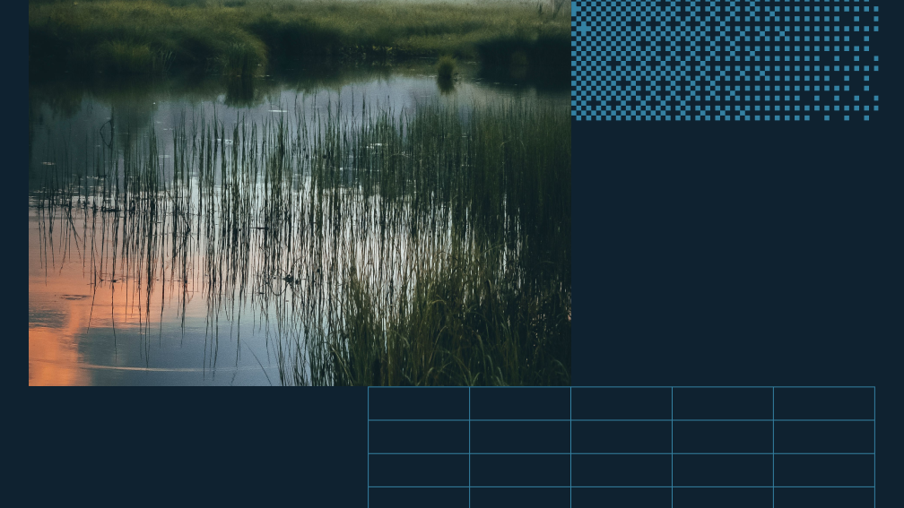 pond at sunset