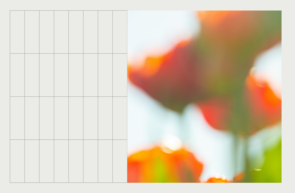 blurred image of a flower
