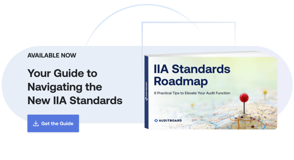 IIA Standards Roadmap