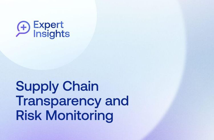 Audit Box Auditing a System Implementation: Potential Questions, Risks, and Audit ...