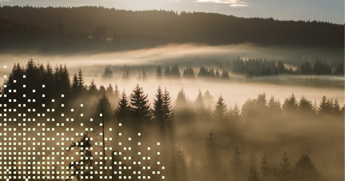 JANUARY 2026 FIND NEARBY TAKEAWAYS REVIEWS visual data 4