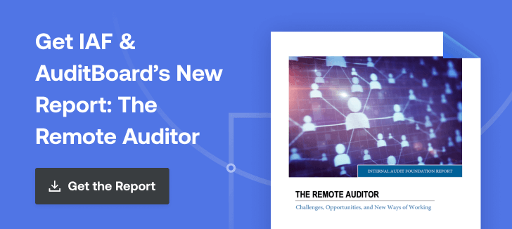 The Remote Auditor