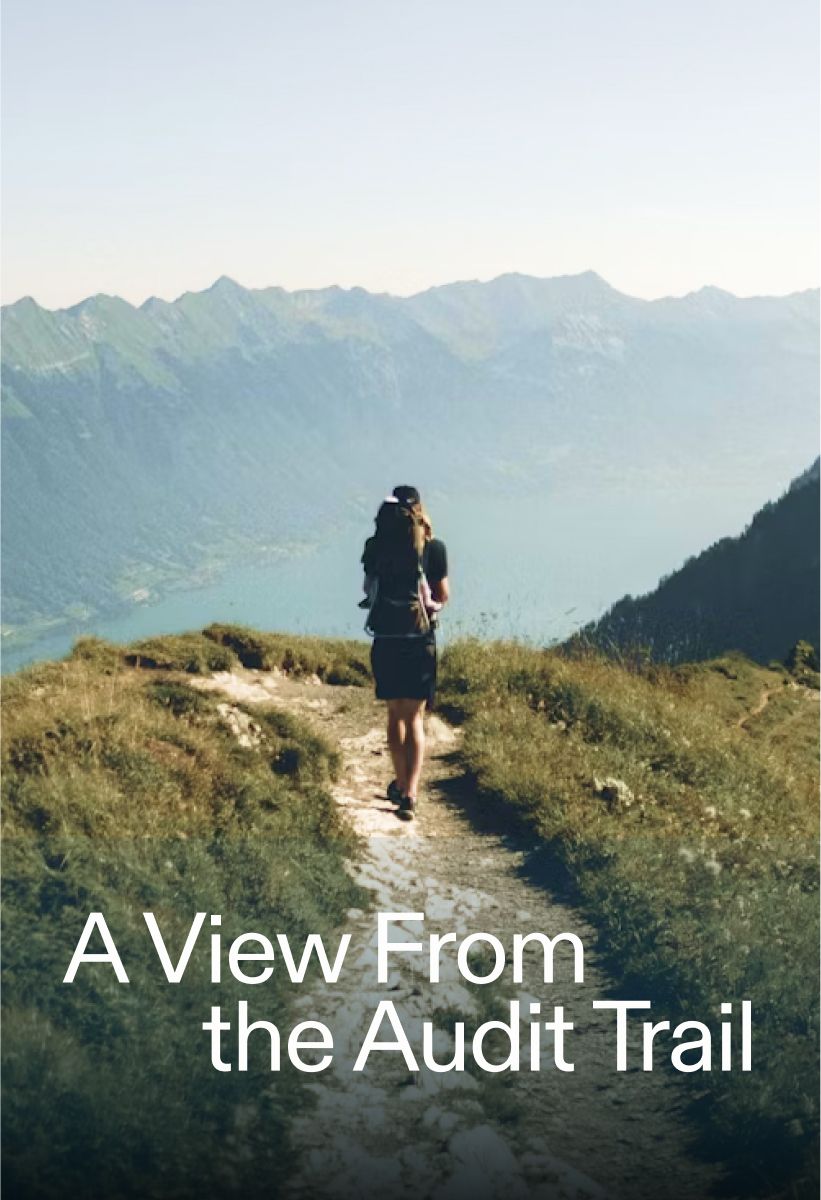 Series A View From the Audit Trail thumbnail