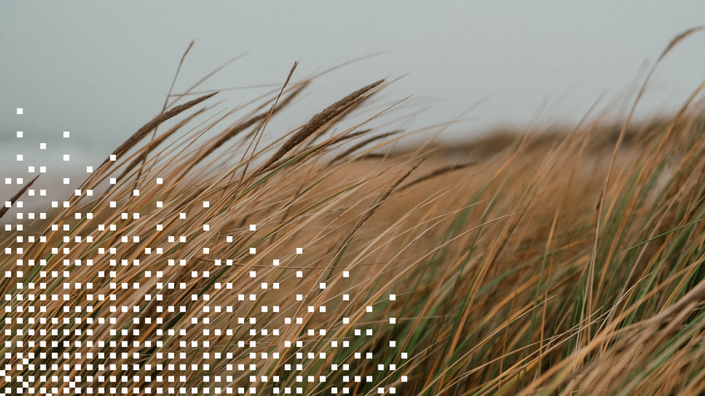 HR audit process: A practical guide to streamline compliance and risk