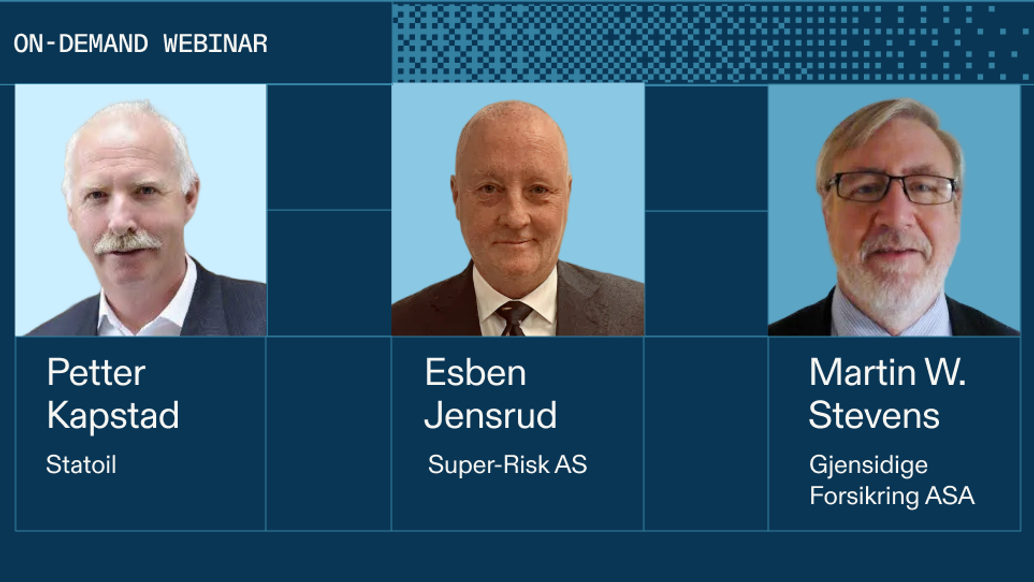 Helping boards raise expectations of the risk management function