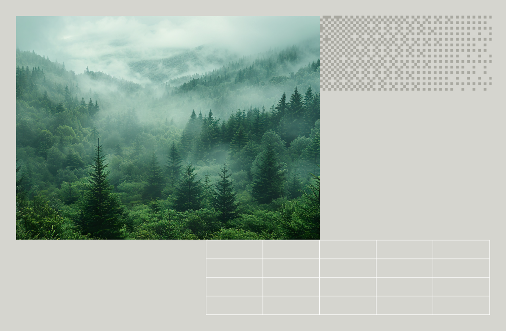 image of a forest