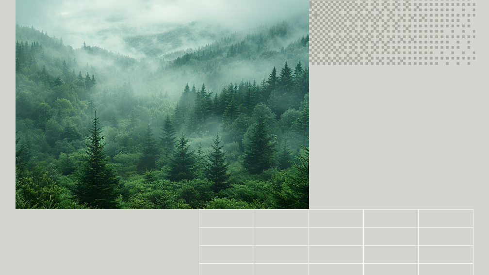 image of a forest