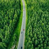 Foto: Shutterstock