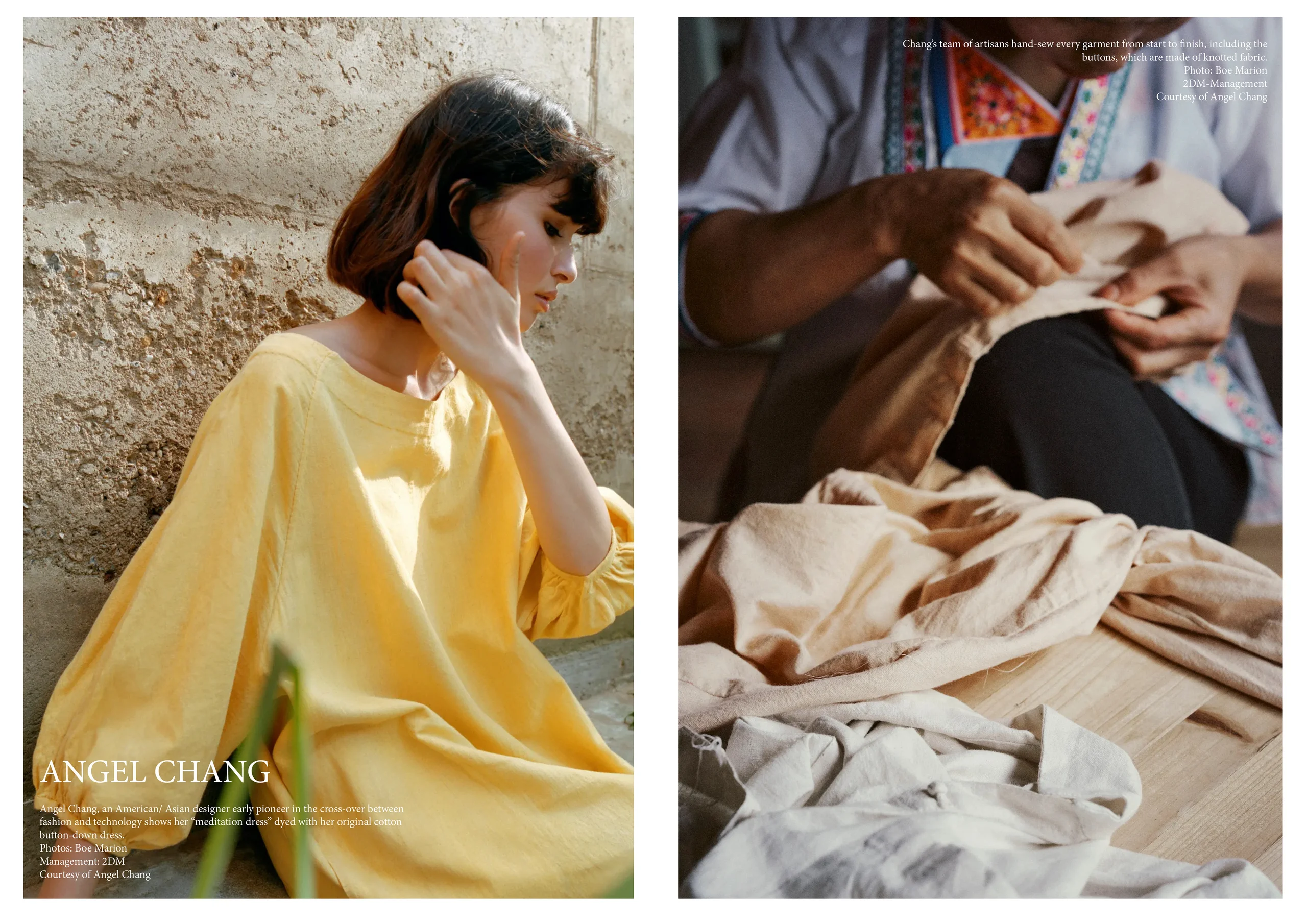 Thesis Study: Brand Development