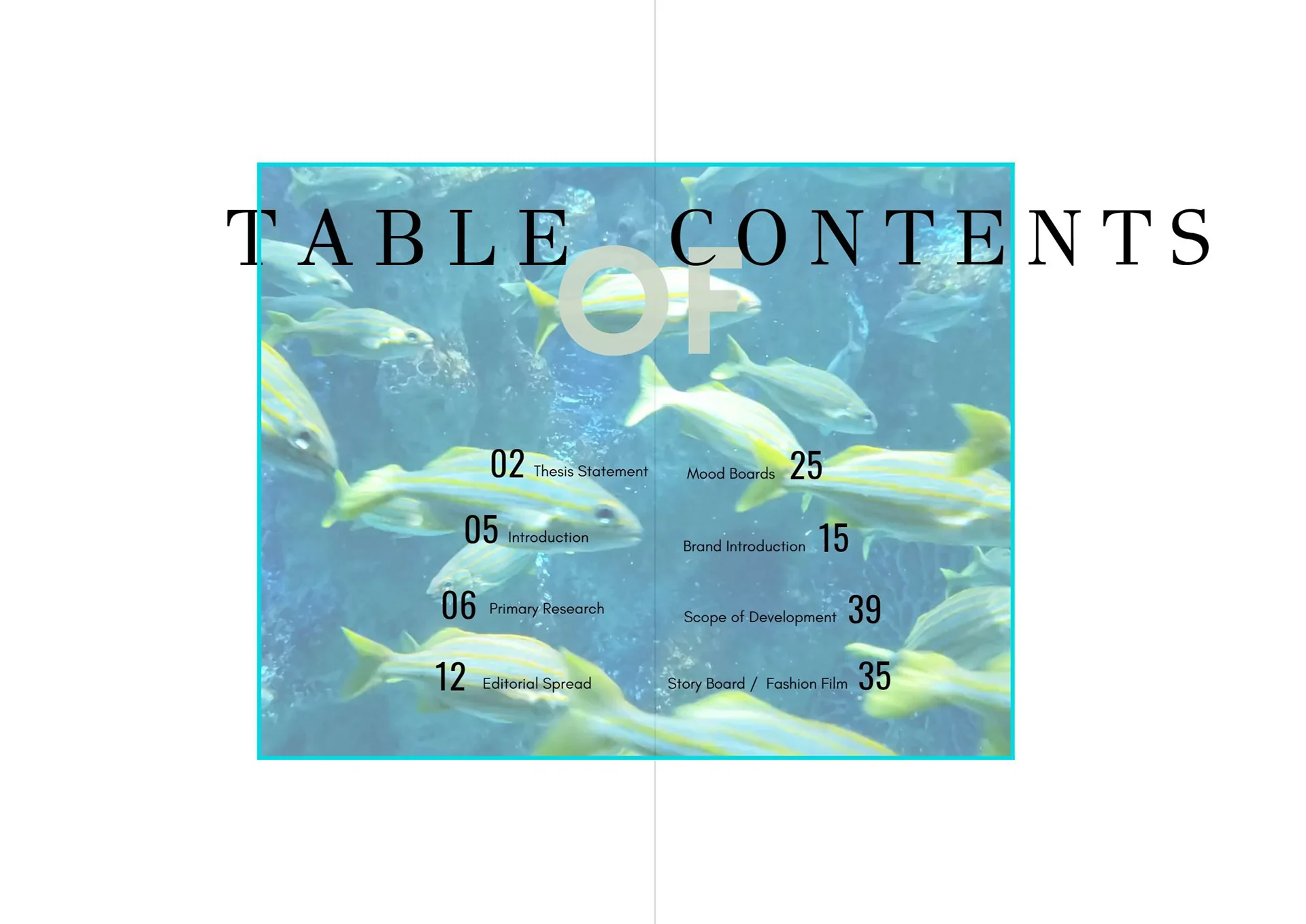 Thesis Study: Brand Development