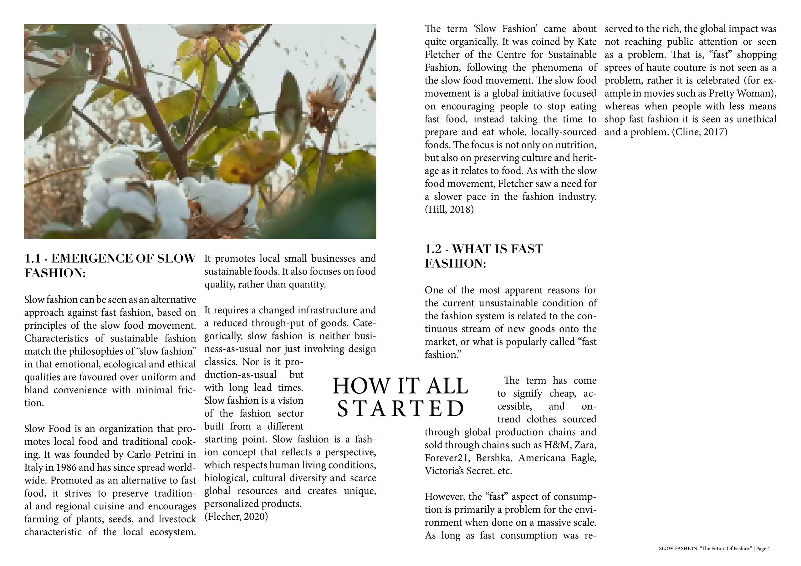 Thesis Study: Brand Development